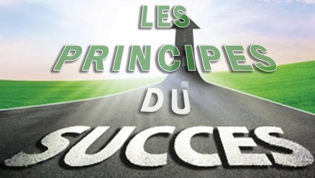 les principes du succes