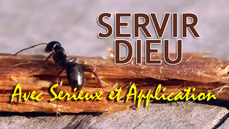 Servir Dieu avec sérieux et application